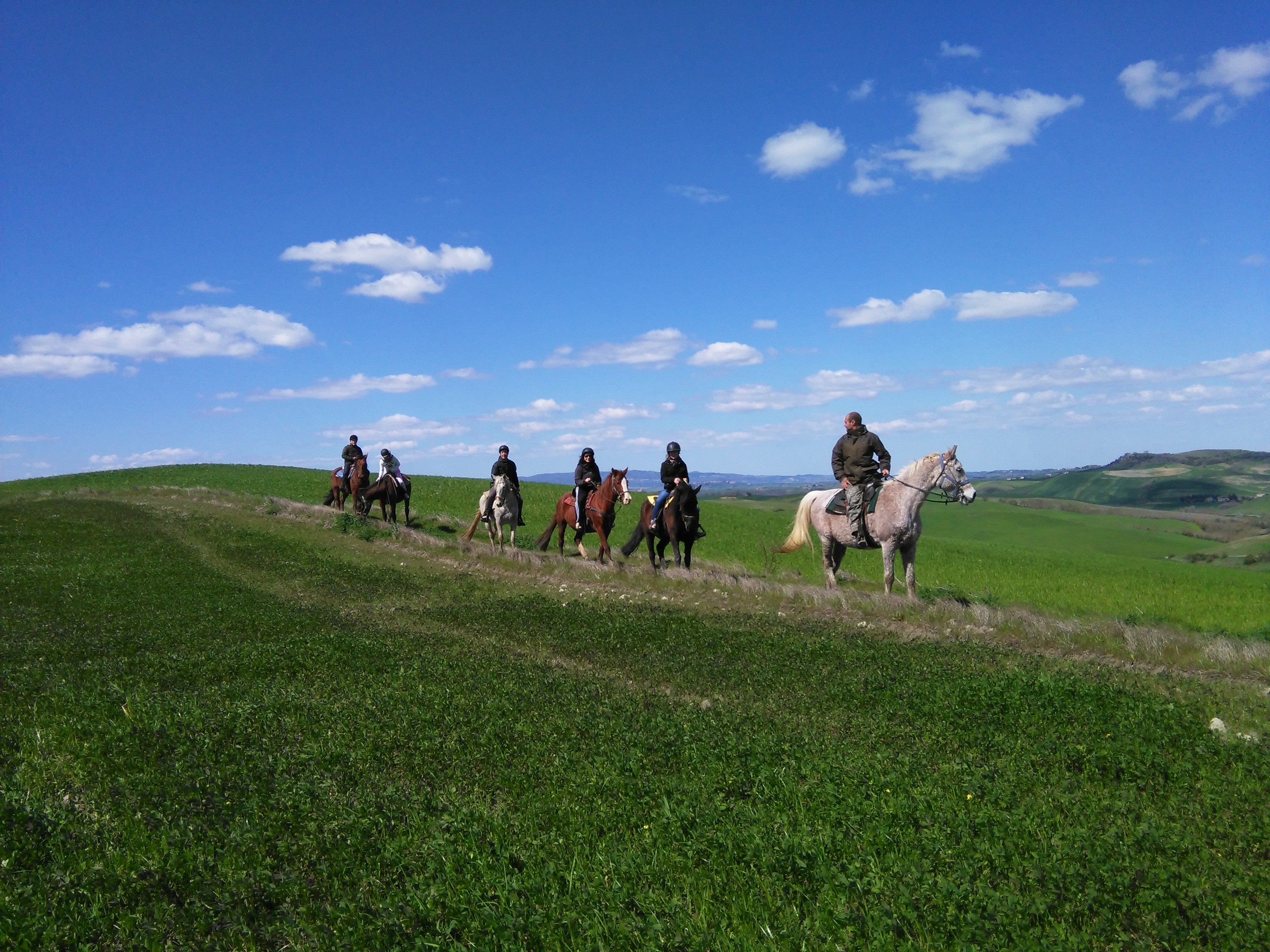 escursioni a cavallo volterra