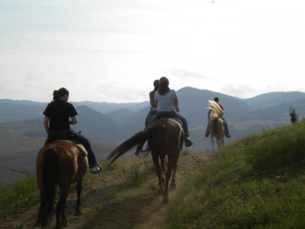 Le escursioni a cavallo possono durare da un ora  a tutta la giornata, grazie alla nostra ottima posizione abbiamo una vastissima scelta di percorsi tra  colline, boschi e guadi con merende  pranzi  e cene a cavallo ....in estate facciamo anche escursioni notturne con la luna piena. I nostri cavalli sono ben addestrati sia per principianti che per esperti cavalieri.